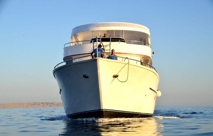Hurghada: Swimming with Dolphins & Snorkeling Tour & Lunch