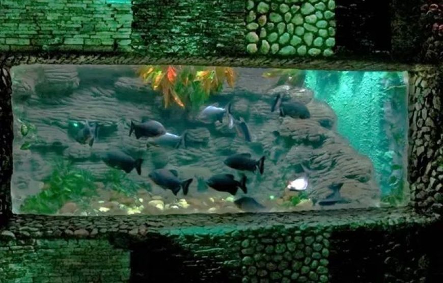 Hurghada Grand Aquarium