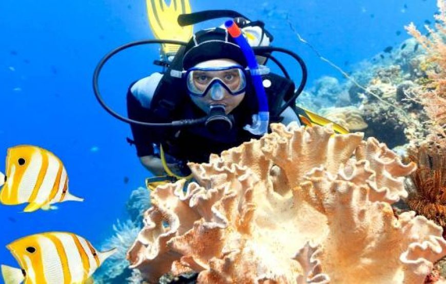 Hurghada: Full-Day Scuba Diving Discovery