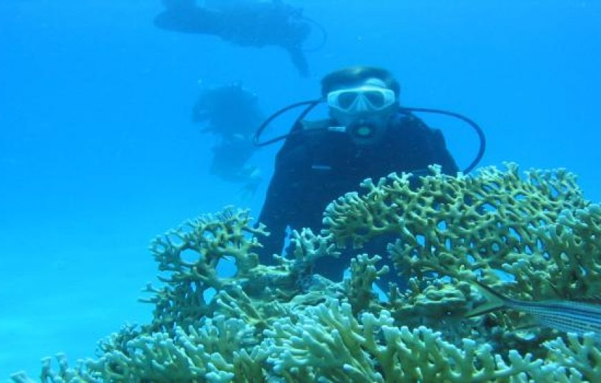 Хургада:  подводного плавания на целый день