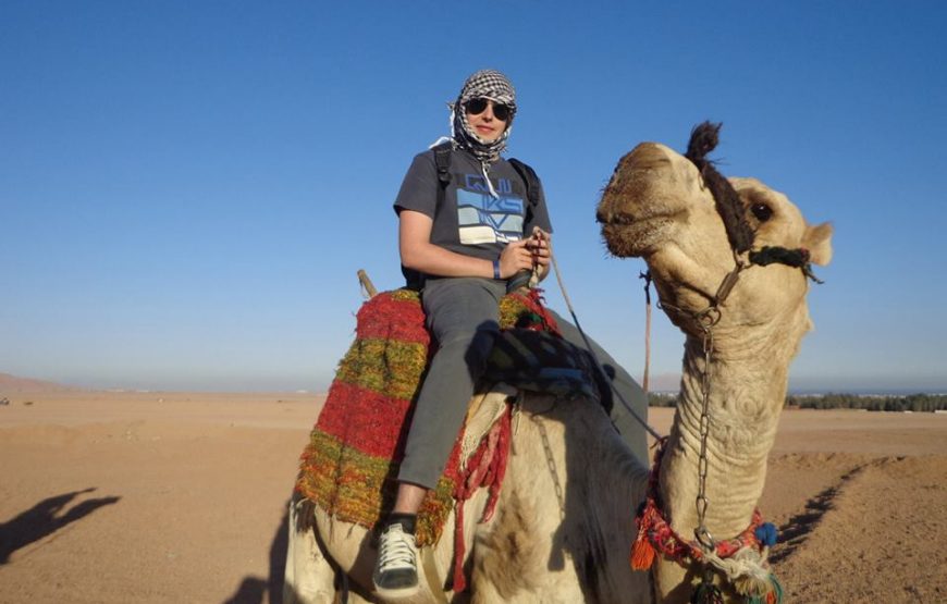 Хургада: джип-сафари, прогулка на верблюдах и тур по бедуинам