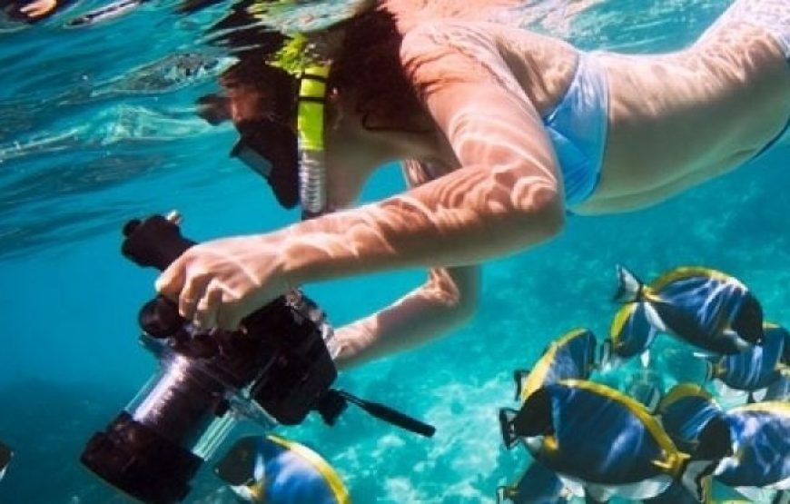 Hurghada: Full-Day Snorkeling & Orange Bay Trip