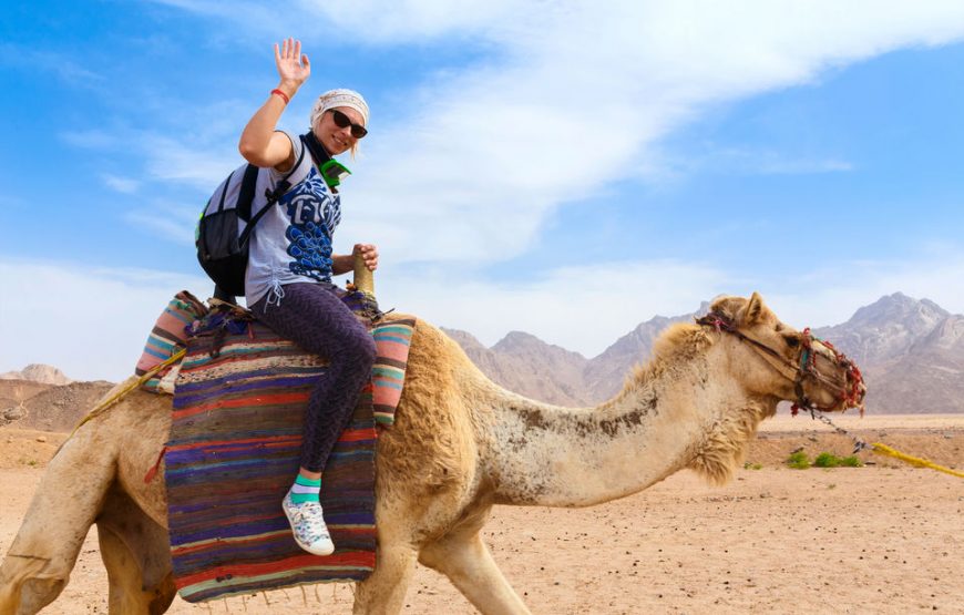 Hurghada: Quad-Safari, Kamelritt, Grill-Abendessen & Show